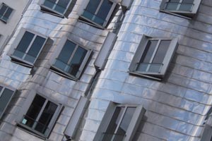Detail Gehry